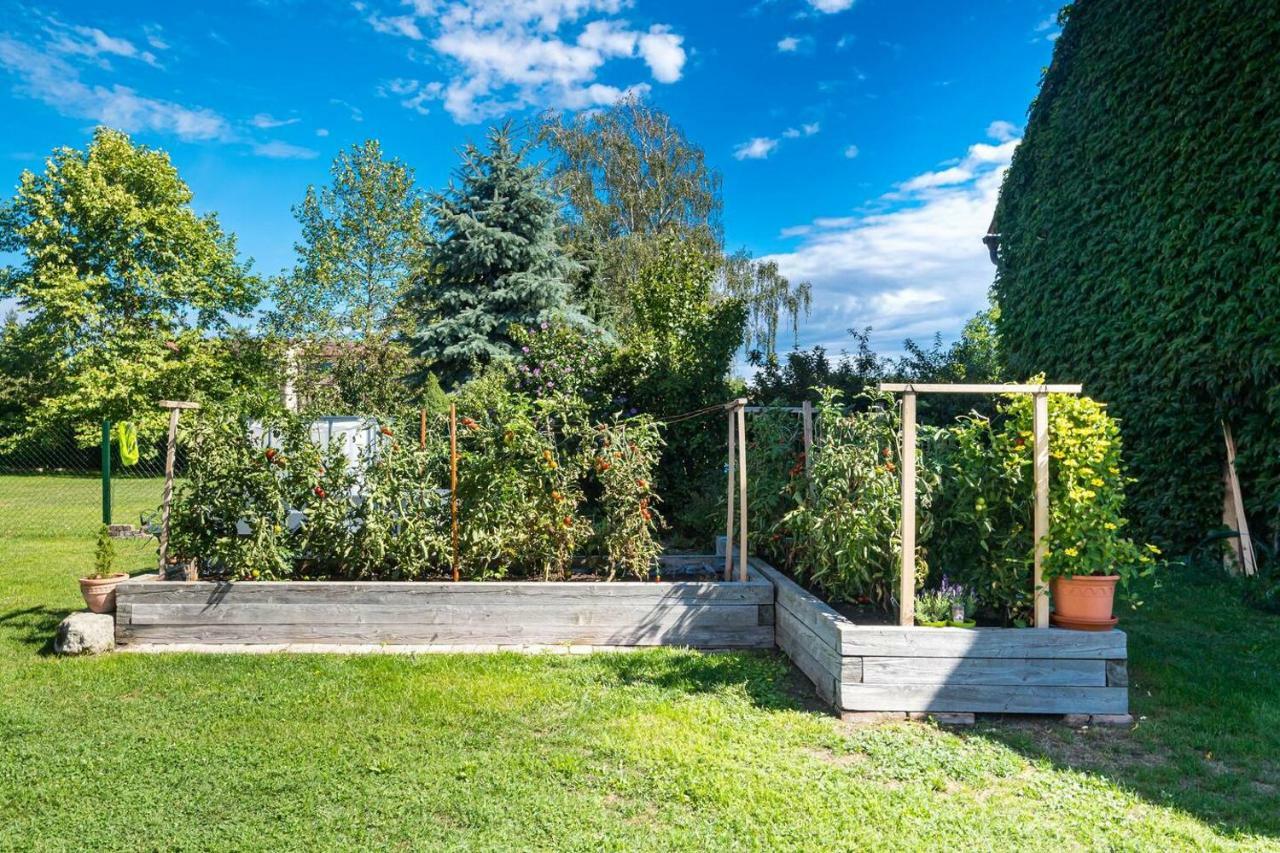 Tradicni Cesky Dum S Loznicemi V Podkrovi Vsejany Exterior photo